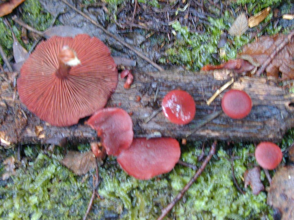 Qualche giorno fa...